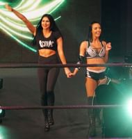 The IIconics